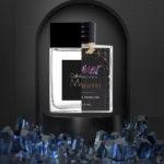 Calvin Klein Man Reminiscent ZRCKM-134